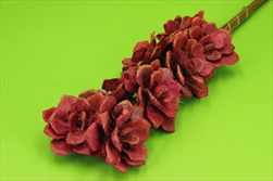 SU Růže Pinie 8cm/8ks azalea - velkoobchod, dovoz květin, řezané květiny Brno
