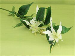 Gloriosa umělá bílá - velkoobchod, dovoz květin, řezané květiny Brno