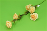 Uk růže větev pěna - velkoobchod, dovoz květin, řezané květiny Brno