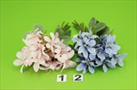 Uk kytice jaterník - velkoobchod, dovoz květin, řezané květiny Brno