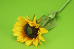 Uk slunečnice - velkoobchod, dovoz květin, řezané květiny Brno