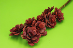 SU Růže Pinie 8cm/8ks rot - velkoobchod, dovoz květin, řezané květiny Brno