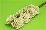 SU Růže Pinie 8cm/8ks bělené - velkoobchod, dovoz květin, řezané květiny Brno