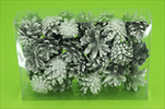 Su šišky borovice stříbrná 0,3kg - velkoobchod, dovoz květin, řezané květiny Brno