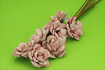 SU Růže Pinie Frosted Starorůžová 8cm 8ks - velkoobchod, dovoz květin, řezané květiny Brno