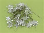 Do špendlík 60mm/40ks hvězda bílá - velkoobchod, dovoz květin, řezané květiny Brno