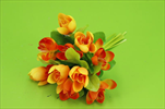 UK Krokus kytička 20cm oranž - velkoobchod, dovoz květin, řezané květiny Brno
