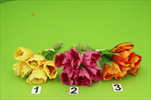 UK Tulipán kytička mix - velkoobchod, dovoz květin, řezané květiny Brno