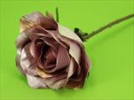 Uk růže X1/60cm růžová - velkoobchod, dovoz květin, řezané květiny Brno
