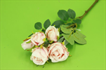 Uk Růže trsová 37cm světle růžová - velkoobchod, dovoz květin, řezané květiny Brno