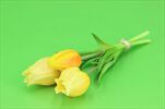 Uk tulipán X3/22cm žlutý - velkoobchod, dovoz květin, řezané květiny Brno