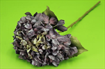 Uk hortenzie 63cm sušený vzhled fialová - velkoobchod, dovoz květin, řezané květiny Brno