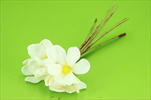 Uk Magnolia 28cm krémová - velkoobchod, dovoz květin, řezané květiny Brno