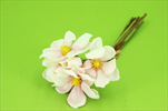 Uk Magnolia 28cm růžová - velkoobchod, dovoz květin, řezané květiny Brno