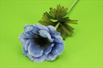 Uk Anemone 54cm modrá - velkoobchod, dovoz květin, řezané květiny Brno