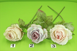 Uk větev růže frost - velkoobchod, dovoz květin, řezané květiny Brno