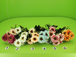 Uk kytice kopretina - velkoobchod, dovoz květin, řezané květiny Brno