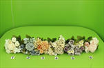 Uk Kytice podzim mix - velkoobchod, dovoz květin, řezané květiny Brno