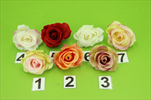 Uk Růže květ vazba  - velkoobchod, dovoz květin, řezané květiny Brno