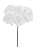 Uk kytice růže X6 pěna - velkoobchod, dovoz květin, řezané květiny Brno