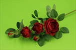 UK Růže větev mini 52cm červená - velkoobchod, dovoz květin, řezané květiny Brno