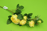 UK Růže větev mini 52cm žlutá - velkoobchod, dovoz květin, řezané květiny Brno