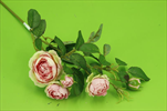UK Růže větev mini 52cm - velkoobchod, dovoz květin, řezané květiny Brno