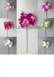 Uk Orchidea zápich 30cm - velkoobchod, dovoz květin, řezané květiny Brno