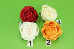UK květ růže Cabbage 7cm - velkoobchod, dovoz květin, řezané květiny Brno