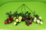 Uk větev růže X5/64cm - velkoobchod, dovoz květin, řezané květiny Brno