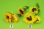 UK Slunečnice - velkoobchod, dovoz květin, řezané květiny Brno