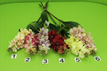 UK Ostrožka     - velkoobchod, dovoz květin, řezané květiny Brno