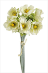 Uk Anemone kytička - velkoobchod, dovoz květin, řezané květiny Brno