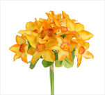 Uk Narcis kytice 20cm - velkoobchod, dovoz květin, řezané květiny Brno