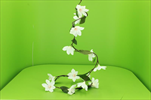 Uk Girlanda magnolie krémová - velkoobchod, dovoz květin, řezané květiny Brno