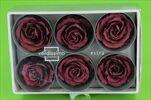 Sk Hlavy růže extra purple 6pcs - velkoobchod, dovoz květin, řezané květiny Brno