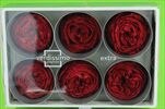 Sk hlavy růží Garden 6pcs red - velkoobchod, dovoz květin, řezané květiny Brno