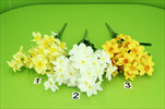 Uk Kytice narcis - velkoobchod, dovoz květin, řezané květiny Brno