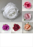 UK Květ růže 8cm Zamotana - velkoobchod, dovoz květin, řezané květiny Brno