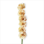 Deco růže dřevo 6ks/6cm natural - velkoobchod, dovoz květin, řezané květiny Brno