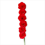 Deco růže dřevo 6ks/6cm červená - velkoobchod, dovoz květin, řezané květiny Brno