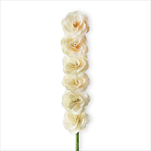 Deco růže dřevo 6ks/6cm smetanová - velkoobchod, dovoz květin, řezané květiny Brno