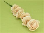 Deco růže dřevo 6ks/7cm natural - velkoobchod, dovoz květin, řezané květiny Brno