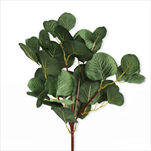Eucalyptus vetev umělá 43cm zelená - velkoobchod, dovoz květin, řezané květiny Brno