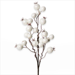 Jeřabiny zápich bílá 31cm - velkoobchod, dovoz květin, řezané květiny Brno