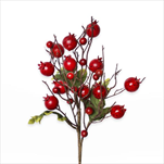 Šípky větev červená 35cm - velkoobchod, dovoz květin, řezané květiny Brno