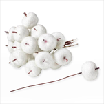 Jablka umělá zápich 18ks/2,5cm bílá - velkoobchod, dovoz květin, řezané květiny Brno