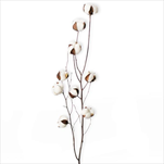 Bavlník větev umělá 80cm natural - velkoobchod, dovoz květin, řezané květiny Brno