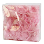 Peříčka 10g baby pink - velkoobchod, dovoz květin, řezané květiny Brno