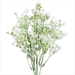 Kytice pvc 36cm bílá - velkoobchod, dovoz květin, řezané květiny Brno